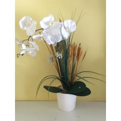 Yapay Beyaz Orkide