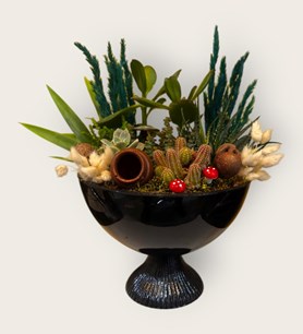 karaman kaktüs tanzimi yasemin çiçek dekoratif