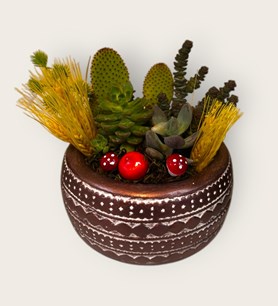 karaman kaktüs tanzimi yasemin çiçek