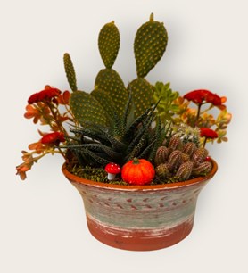 karaman kaktüs tanzimi yasemin çiçek seramik