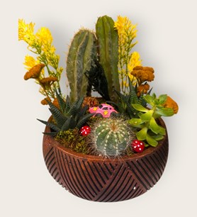 karaman kaktüs tanzimi yasemin çiçek rustik