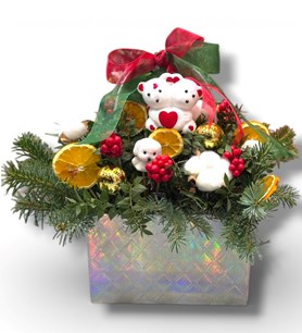 kokina,karaman kokina,kokina karaman