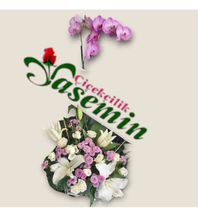 Zarif Orkide & Lilyum Baharı