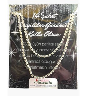 Zirkon Gümüş Taşlı Kolye