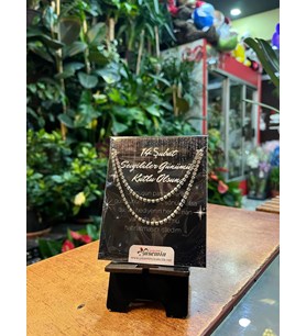 Gümüş Işıltı: Çift Sıra Taşlı Su Yolu Kolye