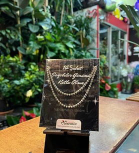 su yolu kolye, taşlı kolye, gümüş renk takı, sevgiliye ışılt